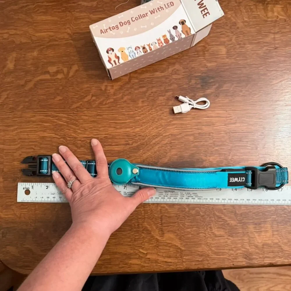 CIYWEE LED Light Up AirTag Dog Collar Teal Medium NIB USB Rechargeable